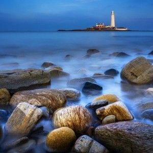 Meet your Posher, Audrey